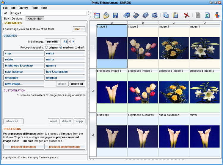 SIMAGIS Screenshot